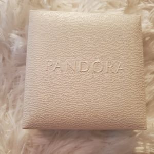 Pandora bracelet with charms